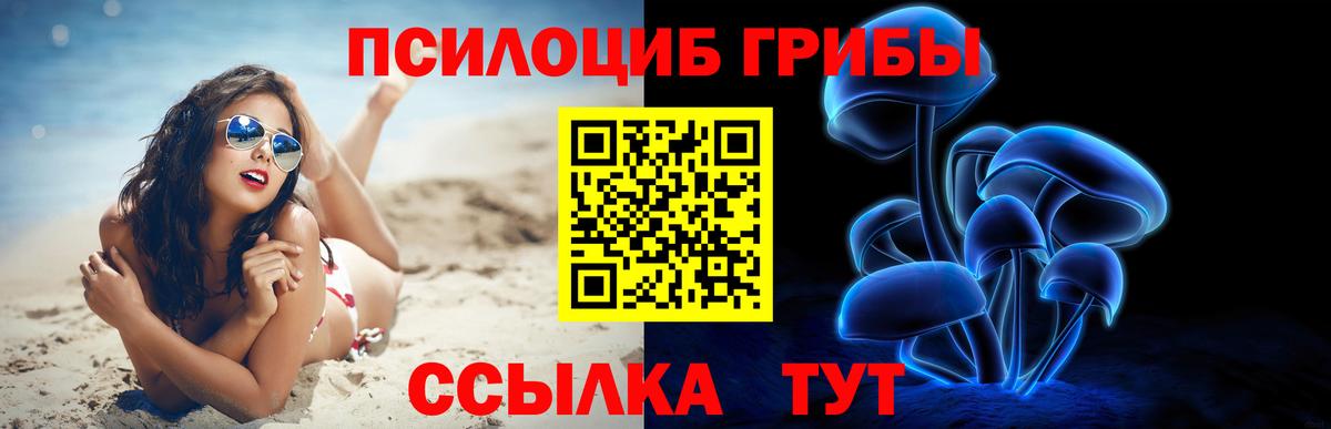 Югорск  Галлюциногенные грибы Psilocybe  Галлюциногенные грибы прущие грибы  Вход с VPN 